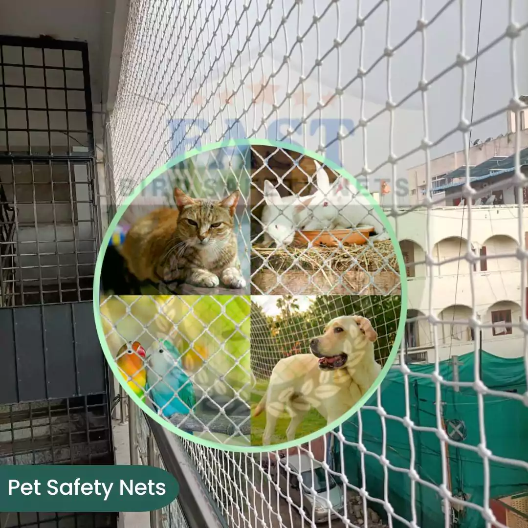 Pets safety net balcony installation Chennai