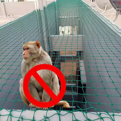 Monkey safety net installation balcony Chennai